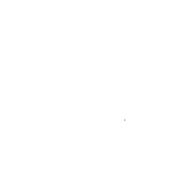 cocon